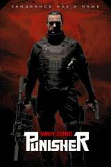 Punisher: War Zone poster 12