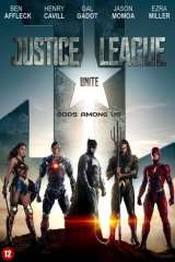 Justice League poster 26