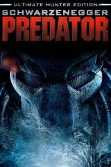 Predator poster 12