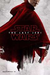Star Wars: The Last Jedi poster 28