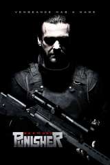 Punisher: War Zone poster 8