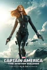 Captain America: The Winter Soldier poster 10