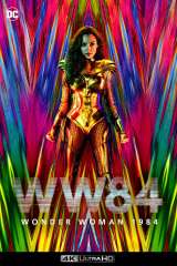 Wonder Woman 1984 poster 26