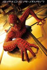 Spider-Man poster 8
