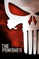 The Punisher poster 8
