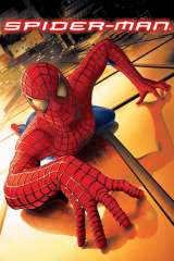 Spider-Man poster 9