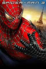 Spider-Man 3 poster 9