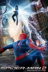 The Amazing Spider-Man 2 poster 23