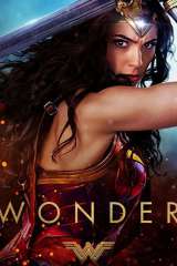 Wonder Woman poster 30