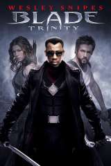 Blade: Trinity poster 5