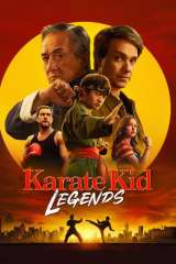 Karate Kid: Legends poster 38