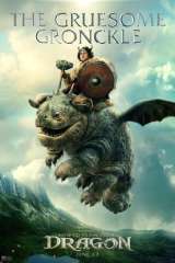 How to Train Your Dragon poster 27