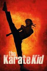The Karate Kid poster 11