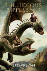 How to Train Your Dragon poster 29