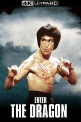 Enter the Dragon poster 14