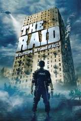 The Raid poster 28