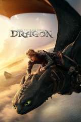 How to Train Your Dragon poster 1