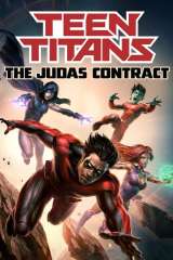 Teen Titans: The Judas Contract poster 7
