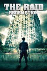 The Raid poster 21