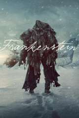 Frankenstein poster 77