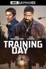 Training Day poster 26