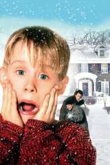 Home Alone poster 40