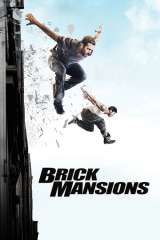 Brick Mansions poster 11