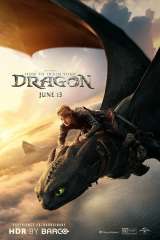 How to Train Your Dragon poster 22