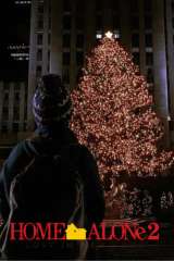 Home Alone 2: Lost in New York poster 26
