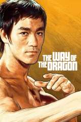 The Way of the Dragon poster 8