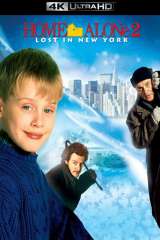 Home Alone 2: Lost in New York poster 16