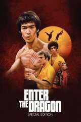 Enter the Dragon poster 47
