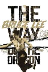 The Way of the Dragon poster 24
