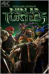 Teenage Mutant Ninja Turtles poster 14