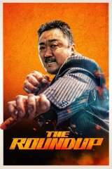 The Roundup poster 9