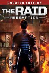 The Raid poster 22