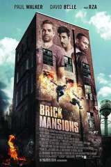 Brick Mansions poster 12