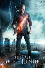 The Last Witch Hunter poster 19