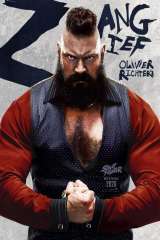 Street Fighter poster 12