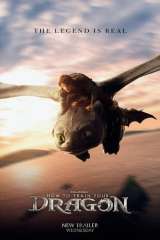 How to Train Your Dragon poster 33