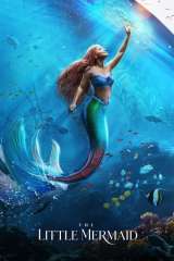 The Little Mermaid poster 70
