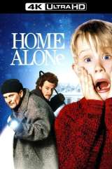 Home Alone poster 20