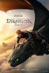 How to Train Your Dragon poster 31