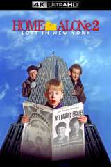 Home Alone 2: Lost in New York poster 17
