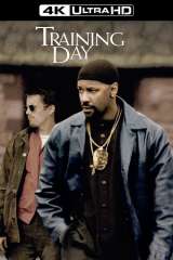 Training Day poster 43