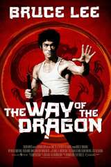 The Way of the Dragon poster 21