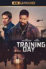 Training Day poster 23