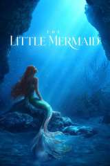 The Little Mermaid poster 35