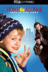 Home Alone 2: Lost in New York poster 15