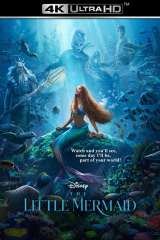 The Little Mermaid poster 9